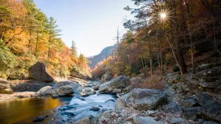 Queer Appalachia: Asheville, North Carolina Emerges as the Inclusive Heart of the Blue Ridge