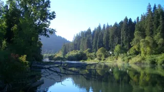 Guerneville’s Russian River: A Timeless Sanctuary for the Queer Community Thrives in Northern California