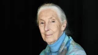 Jane Goodall, Trailblazing Conservationist and Champion of Inclusion, Dies at 91